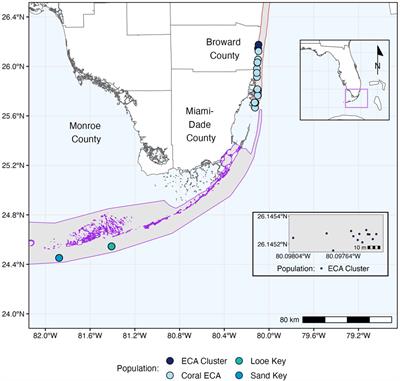 Algal symbiont genera but not coral host genotypes correlate to stony coral tissue loss disease susceptibility among Orbicella faveolata colonies in South Florida